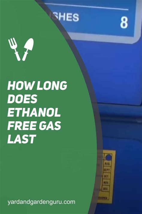 how long does ethanol free gas last